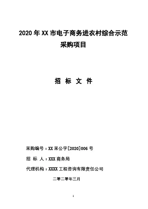 市电子商务进农村综合示范采购项目招标文件【模板】