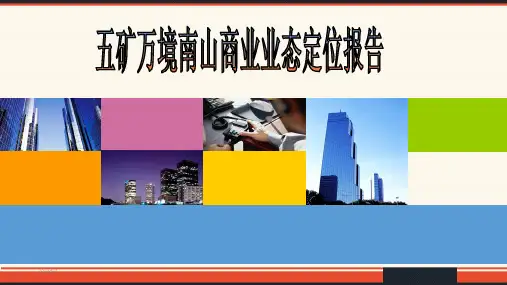 南山商业业态定位报告 PPT