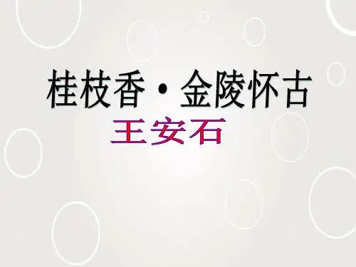 语文《桂枝香·金陵怀古》PPT课件