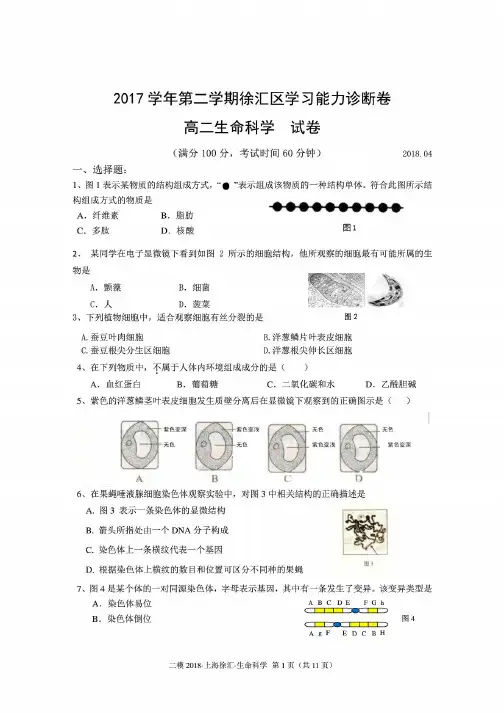 2018年上海徐汇区生命科学二模试卷及答案
