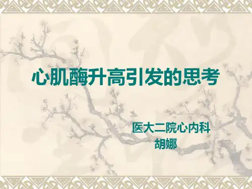 心肌酶升高引发的