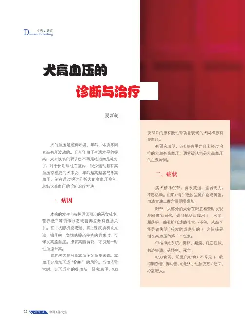 犬高血压的诊断与治疗