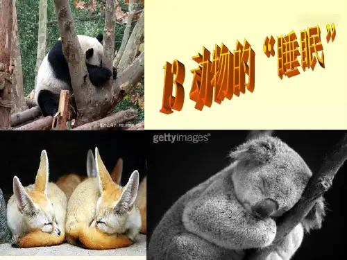 13动物的睡眠PPT课件