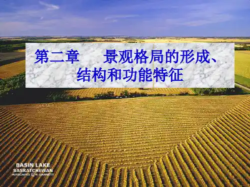 第二章 景观格局的形成、结构和功能特征