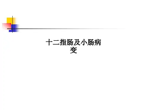 十二指肠及小肠病变