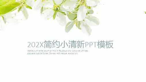 唯美清新(99)PPT简约小清新动态模板