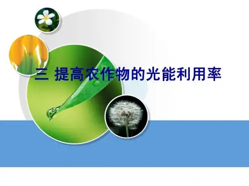 三 提高农作物的光能利用率