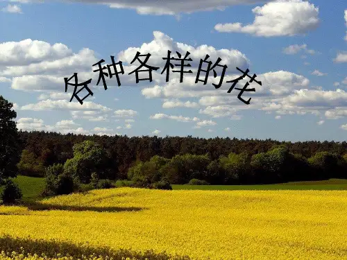 小学科学(教科版)《各种各样的花》公开课PPT1