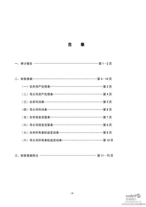 天马股份：2010年年度审计报告 2011-03-18
