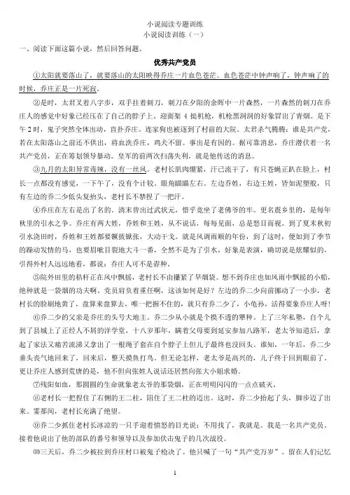 小说阅读专题训练.新十篇教师doc