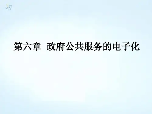 第六章  政府公共服务的电子化