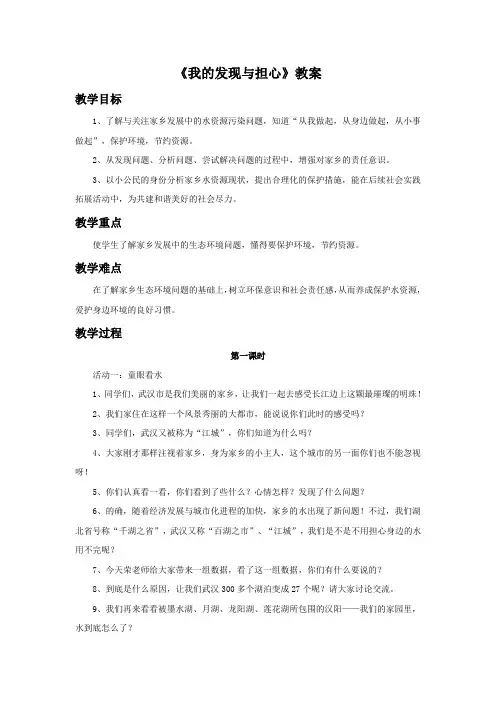 《我的发现与担心》教案