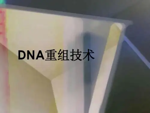 DNA重组技术
