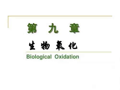 生物化学第 九 章 生物氧化