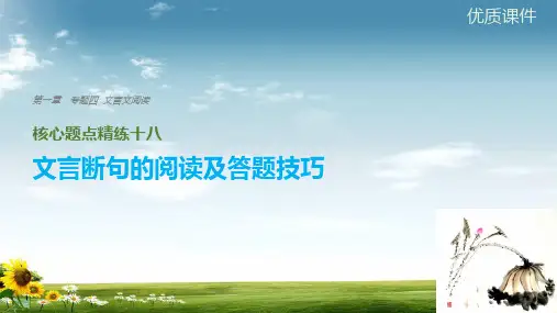 高考语文二轮复习考前三个月文言文阅读精练十八文言断句的阅读及答题技巧课件-2019