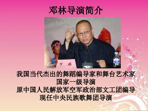 邓林导演