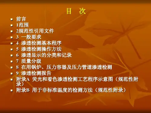 承压设备无损检测-渗透检测