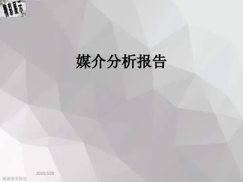 媒介分析报告