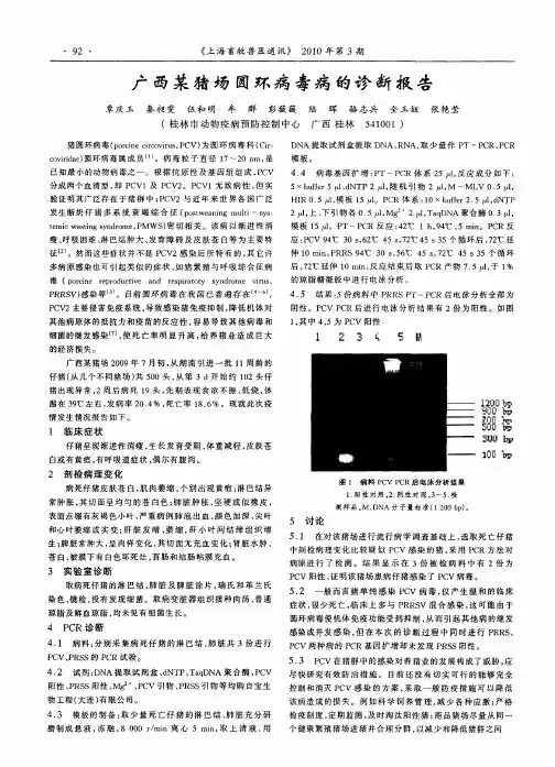 广西某猪场圆环病毒病的诊断报告