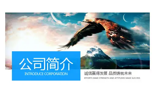 亚马逊公司简介介绍ppt