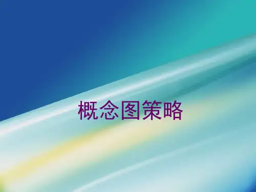 概念图策略分析