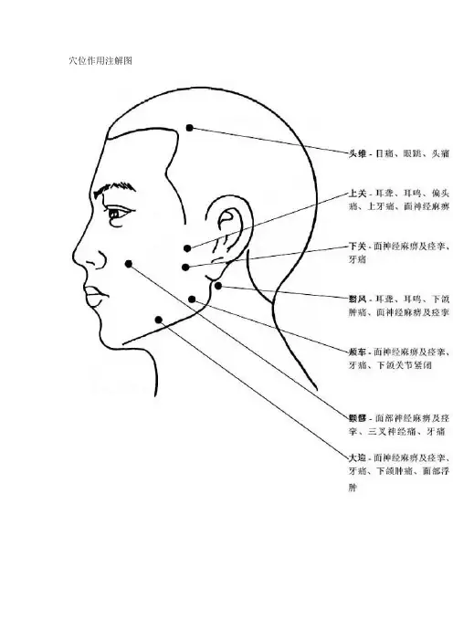 人体穴位作用注解图