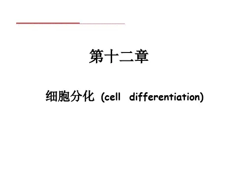 《细胞生物学》教学课件:细胞分化