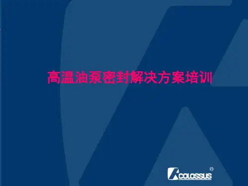 丹东克隆2010版高温油泵密封解决方案培训(销售员)(1)(DEC)