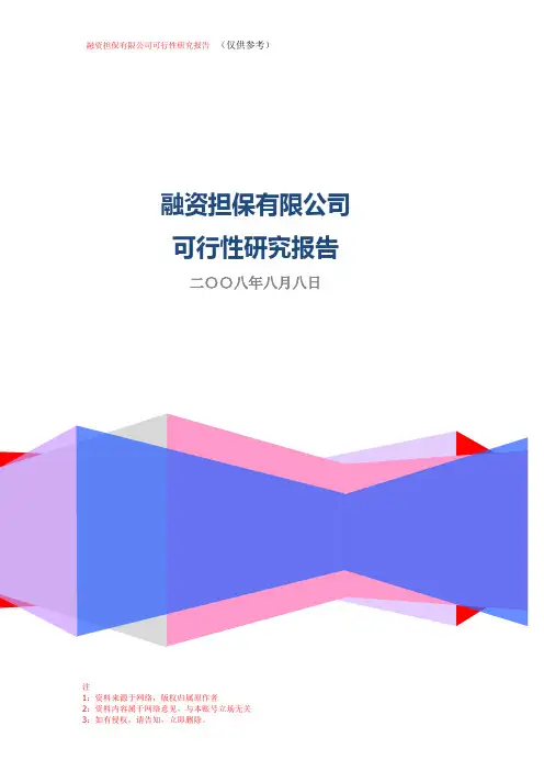 融资担保公司可行性研究报告