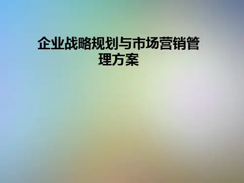 企业战略规划与市场营销管理方案