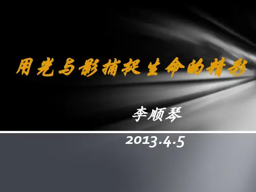 用光与影捕捉生命的精彩