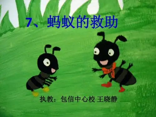 蚂蚁的救助