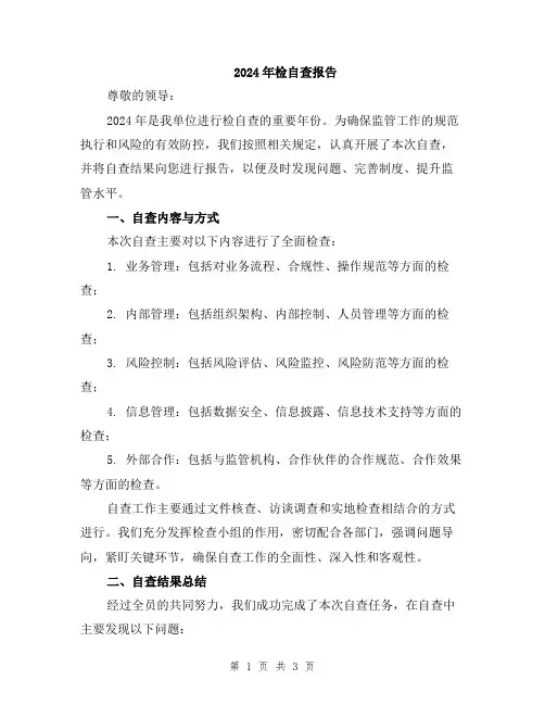 2024年检自查报告