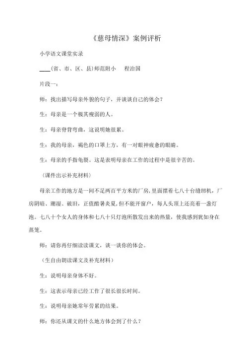 小学语文 《慈母情深》案例评析