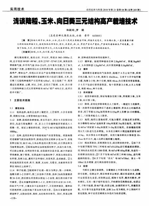 浅谈陆稻、玉米、向日葵三元结构高产栽培技术