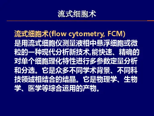 流式应用研究进展