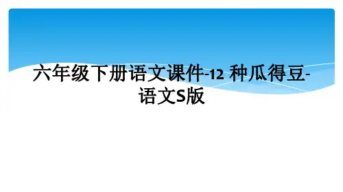 六年级下册语文课件-12 种瓜得豆-语文S版