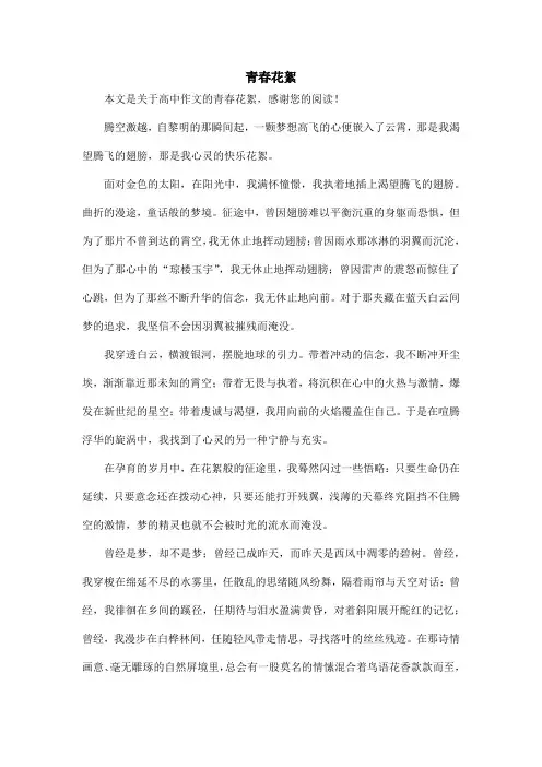 青春花絮_高中作文