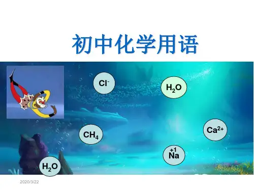 化学用语专题复习