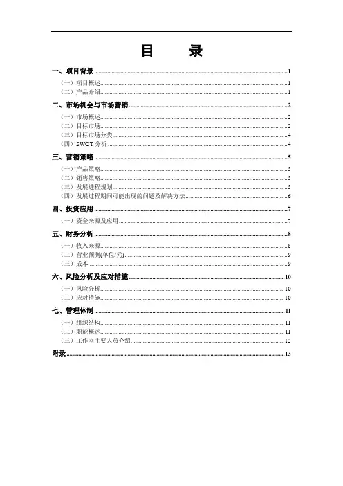 大学创意项目策划书