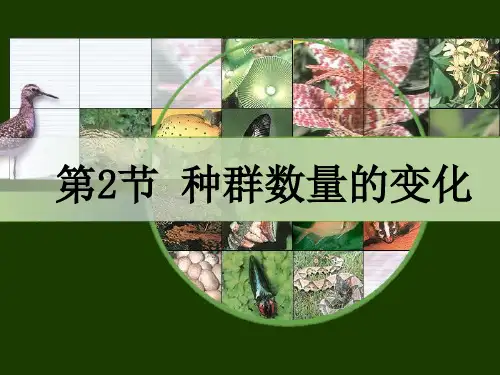 人教生物必修3第4章第2节种群数量的变化(共29张PPT)_2