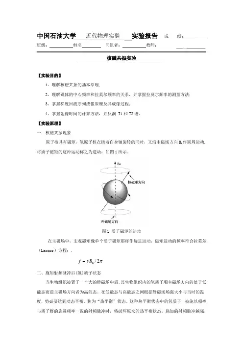 核磁共振成像实验报告