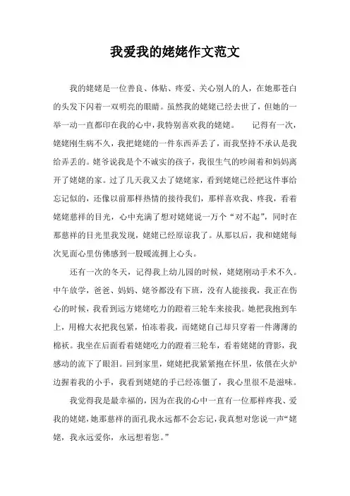 我爱我的姥姥作文范文