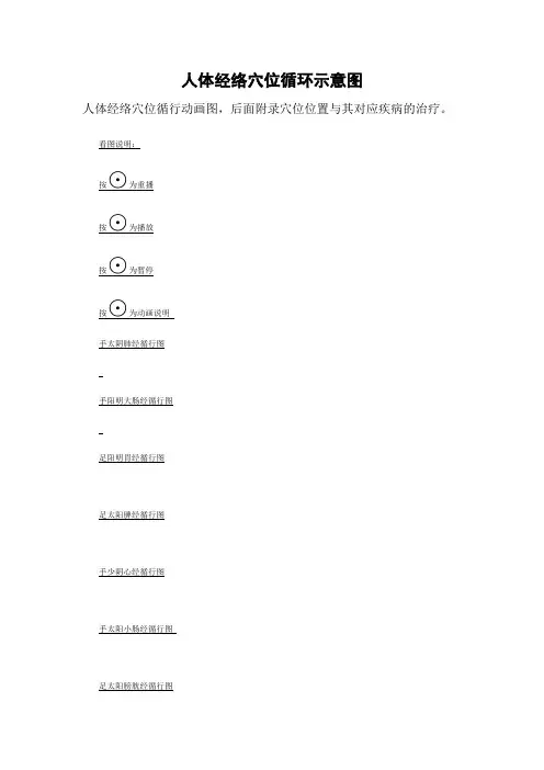 人体经络穴位循环示意图 2