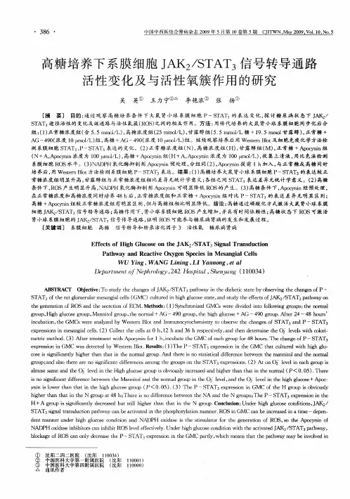 高糖培养下系膜细胞JAK2／STAT3信号转导通路活性变化及与活性氧簇作用的研究