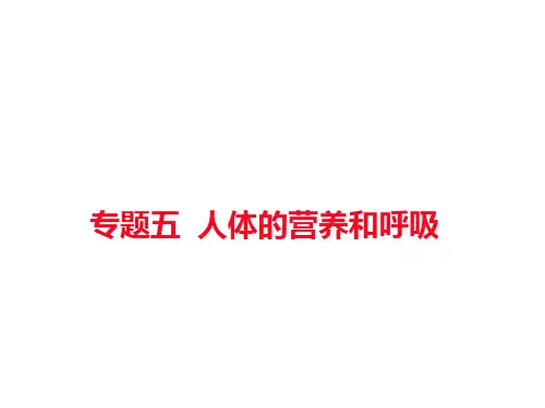 人体的营养和呼吸PPT课件
