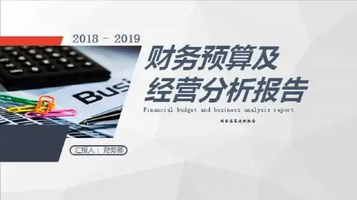 财务总监述职报告