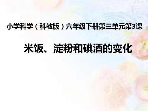 米饭淀粉和碘酒的变化PPT课件