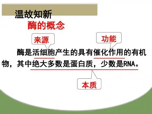 酶的特性PPT课件