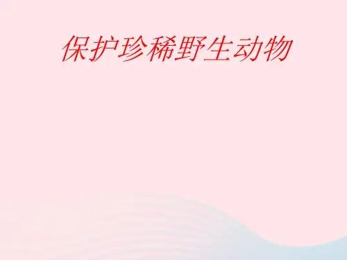 三年级美术下册第19课保护珍稀野生动物课件人美版